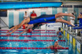 /album/cogli-lattimo/pampaimg-4208-nuoto-pronta-copia-jpg/